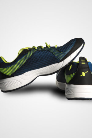 sports shoe3